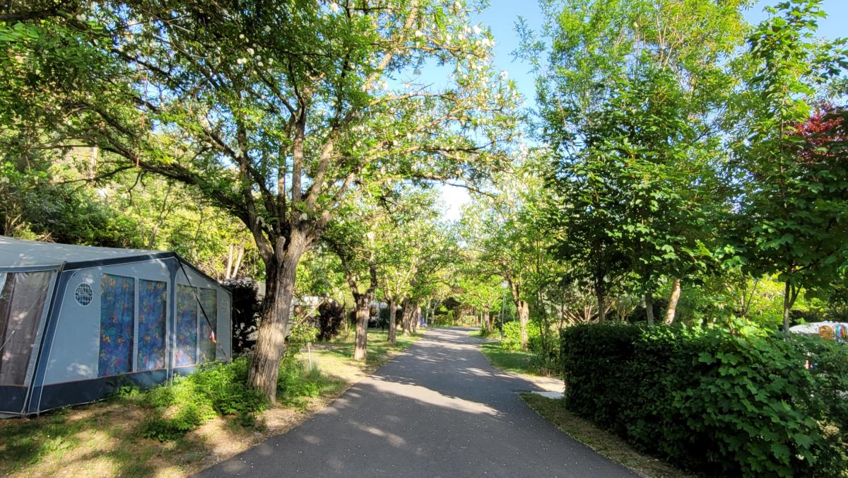 Camping Rose de Provence - Verdon